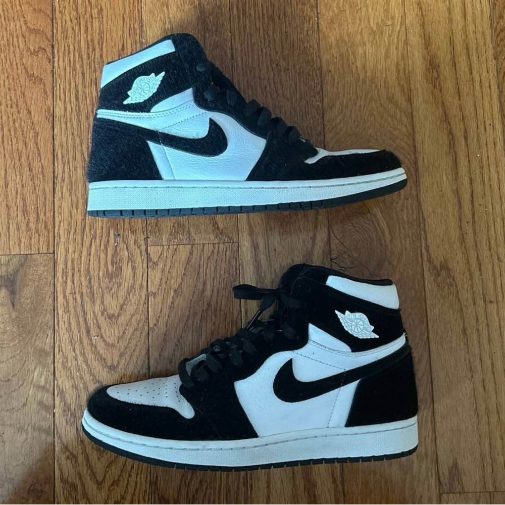 Air Jordan 1 “Twist”